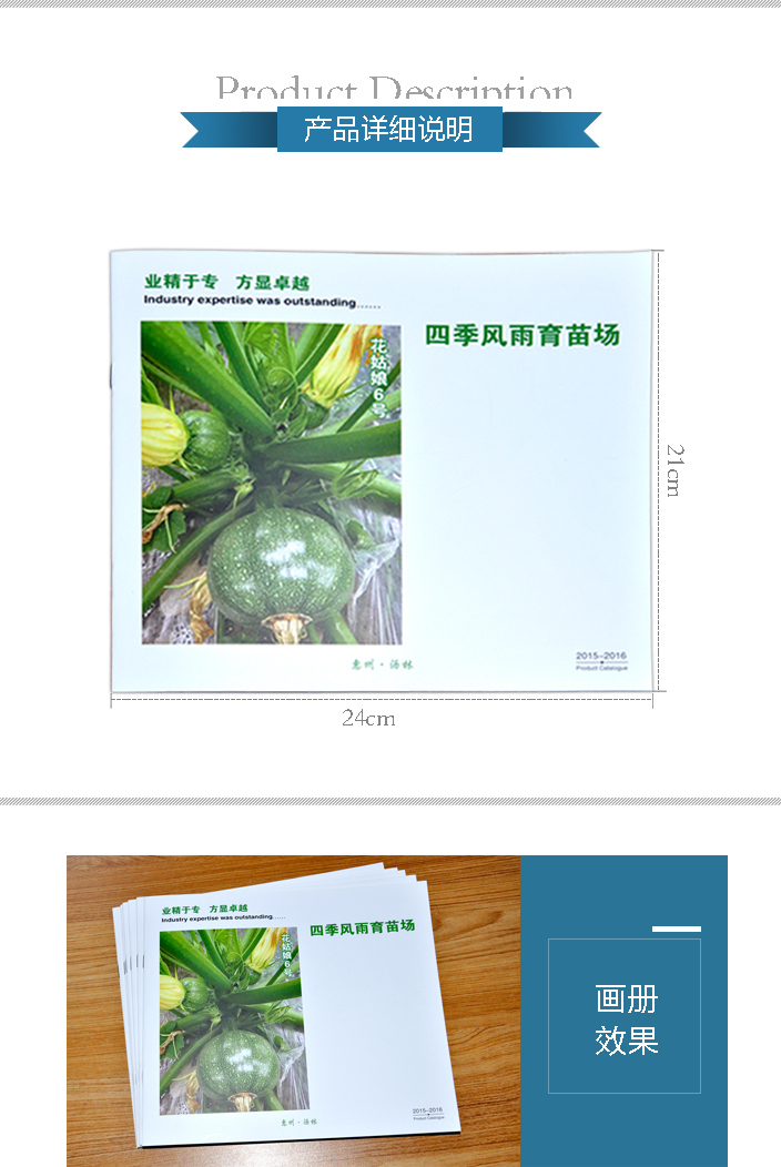 騎馬訂畫冊(cè)