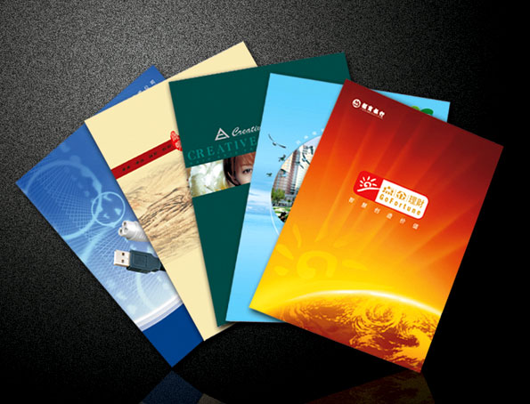 豪彩佳印企業(yè)畫冊印刷廠