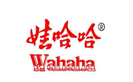 娃哈哈集團(tuán)